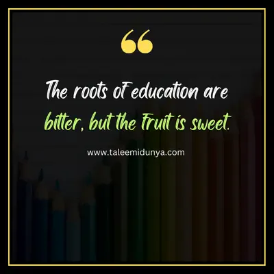 the roots of education are bitter. but the fruit is sweet.